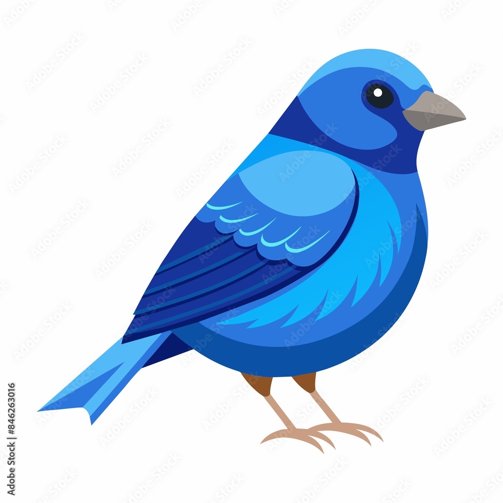blue bird isolated blue bird isolated