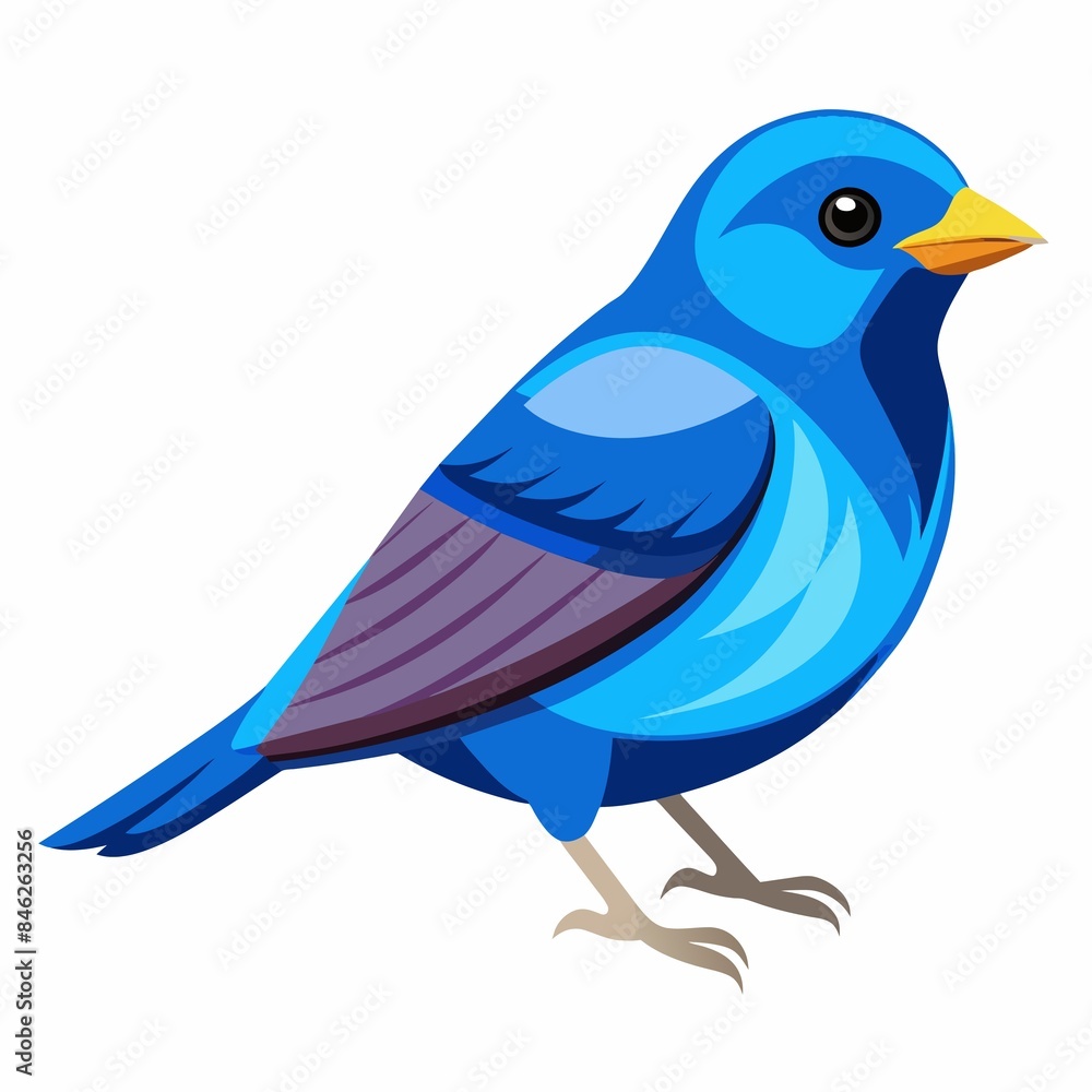 blue bird isolated blue bird isolated