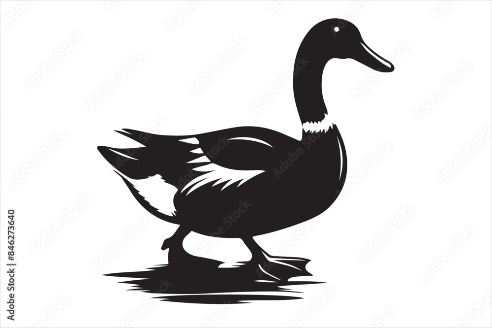 Obraz premium Cute Duck vector Silhouette image
