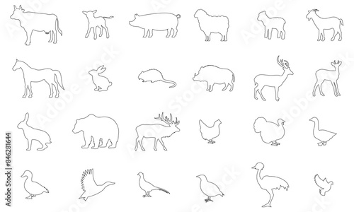 Vector outline icon, animals. Cow, calf, pig, sheep, lamb, goat, horse, rabbit, nutria, boar, deer, roe deer, hare, bear, elk, chicken, turkey, goose, duck, mallard, pheasant, partridge, ostrich,dove