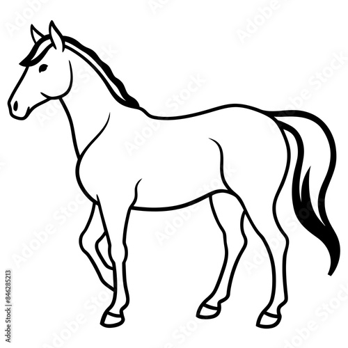 black horse vector illustration