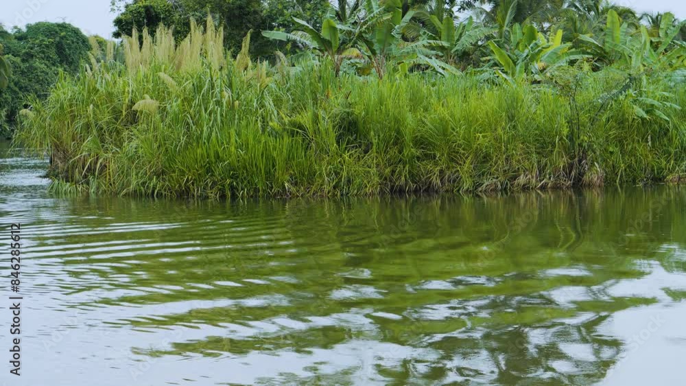 Hermosa vista, un toma del río moviendo hacia las montańas Hermosa vista, un toma del río moviendo hacia las montańas