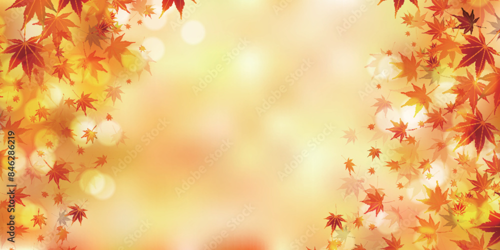 紅葉 葉 秋 背景 紅葉 葉 秋 背景