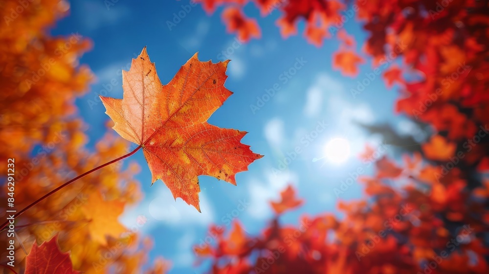 The majestic low-angle view of vibrant maple leaves, symbolizing Canadian pride in autumns colorful foliage, embodying the nations identity