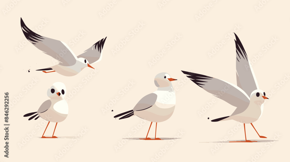 set of birds