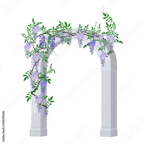 Blooming wisteria entwines an ancient Greek arch isolated on a white background.