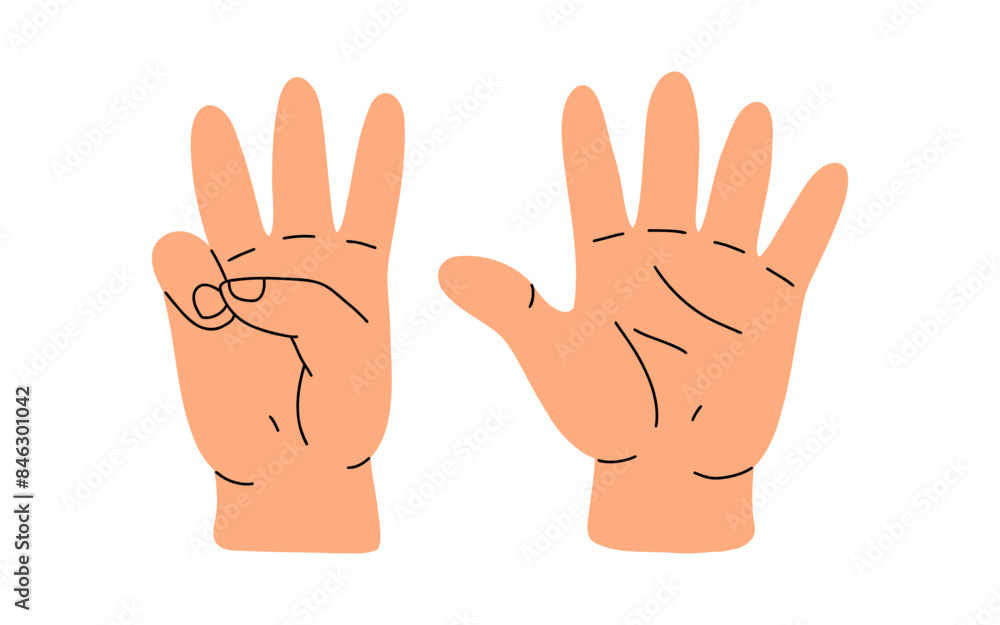 Counting with fingers. Hand gesturing, arm showing one, two, three, four and five numbers, digits. Countdown, score, elementary math learning. Flat vector illustration isolated on white background Counting with fingers. Hand gesturing, arm showing one, two, three, four and five numbers, digits. Countdown, score, elementary math learning. Flat vector illustration isolated on white background