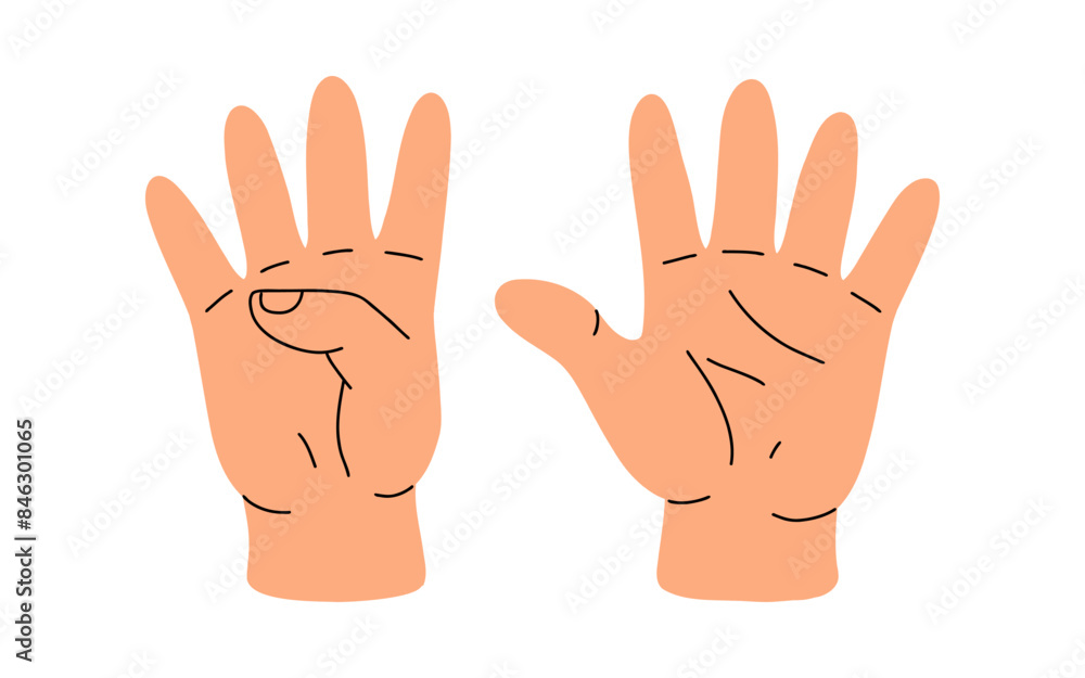 Counting with fingers. Hand gesturing, arm showing one, two, three, four and five numbers, digits. Countdown, score, elementary math learning. Flat vector illustration isolated on white background Counting with fingers. Hand gesturing, arm showing one, two, three, four and five numbers, digits. Countdown, score, elementary math learning. Flat vector illustration isolated on white background