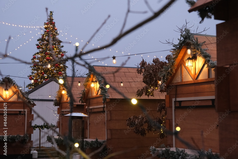 Obraz premium christmas tree at night