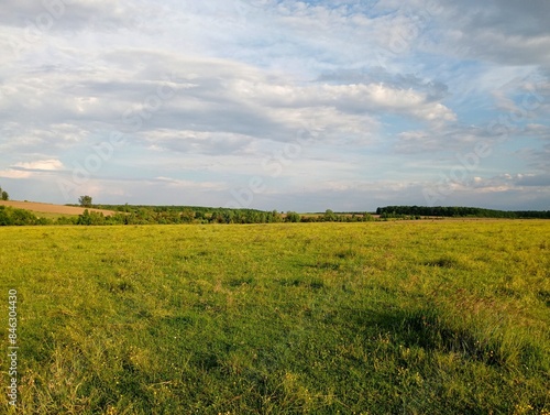 Beautiful summer landscape on green meadows under a clear sky on a warm summer day. Green trees can be seen on the horizon.