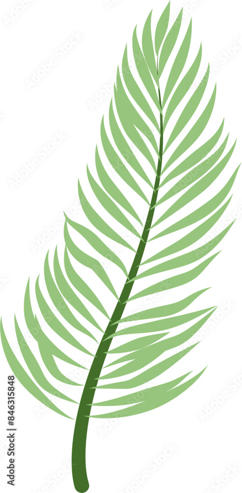 Palm Tree Leaf Palm Tree Leaf