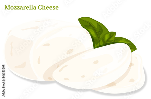 Slices of Fresh Mozzarella Cheese with Basil Leaves