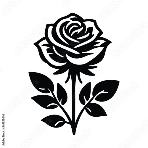 vector rose flower