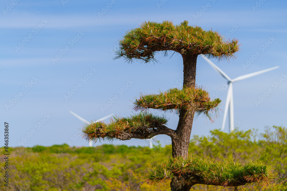 大地に生える木と風車