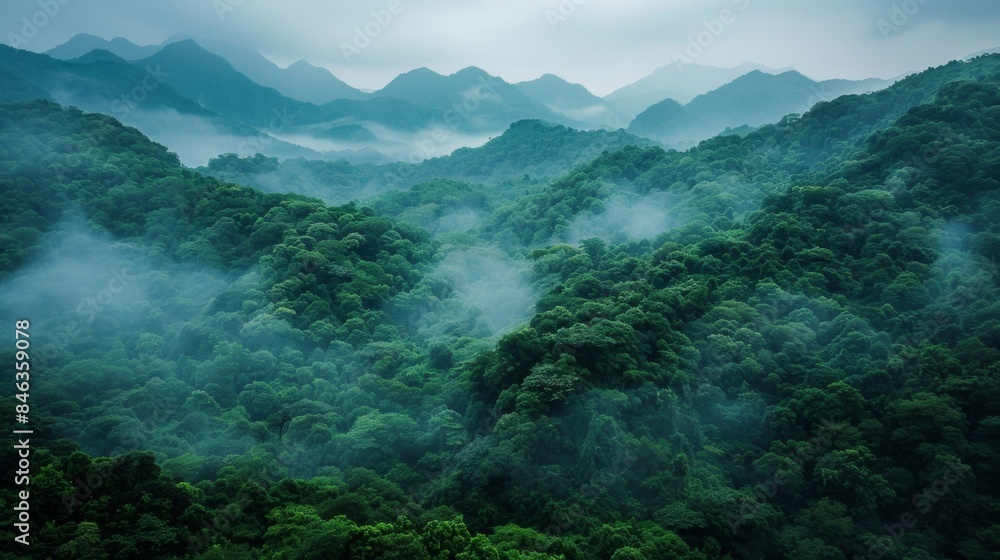 Cool and Cool Forested Hills Cool and Cool Forested Hills
