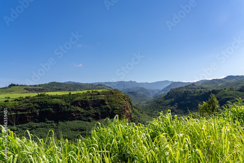 Kawaikini is the summit of the island's inactive central shield volcano, Mount Waialeale.  Hanapepe Valley Lookout, Kauai, Hawaii.  Megathyrsus maximus, known as Guinea grass and green panic grass photo