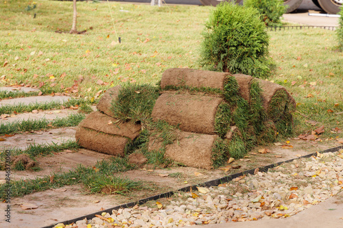 Rolled lawn is prepared for laying on the ground.