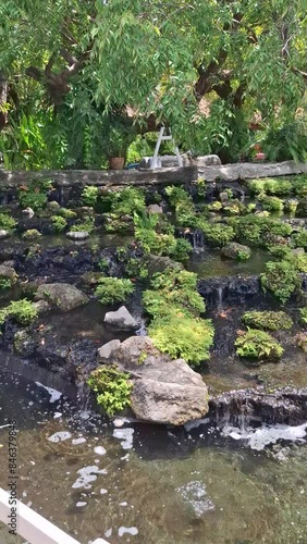 nature, stone, water, garden, landscape