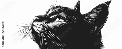 Portrait of a cat head. vector simple illustration