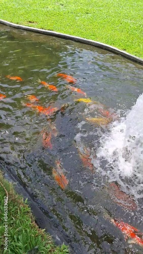 water, nature, waterfall, river, cascade, stream,