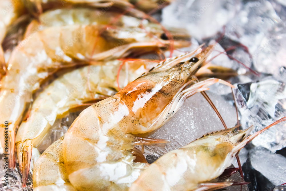 Close up of a bunch of fresh raw shrimp on ice cubes.Seafood. Close up of a bunch of fresh raw shrimp on ice cubes.Seafood.