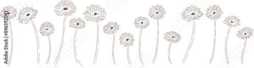 線画の草木イラスト。線画の草木ベクター素材。手描きのガーベラ夏フレーム。Line drawing grass and trees illustration. Line drawing plants and trees vector material. Hand drawn gerbera summer frame.