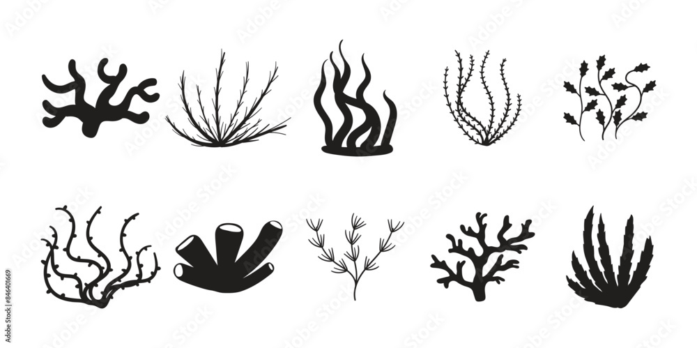 Coral Silhouette Vector Set Coral Silhouette Vector Set