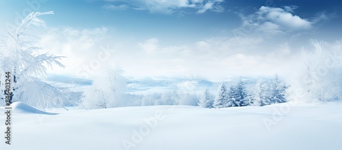 Wallpaper Mural A picture capturing the beauty of snow with empty space for text or other elements. copy space available Torontodigital.ca