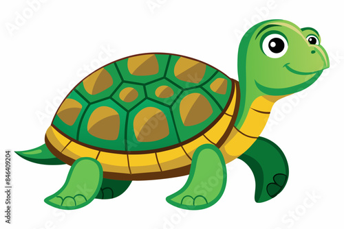 Turtle vector illustration