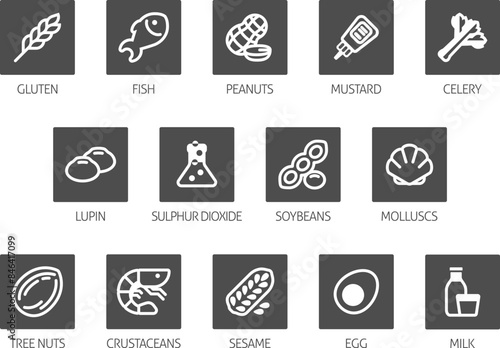 Food allergen allergy icons. include big 8 FDA Major Allergens and 14 food allergies from the EU Food Information for Consumers Regulation EFSA European Food Safety Authority Annex II