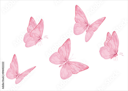 pink watercolor and butterflies illsutration set flock of butterfly