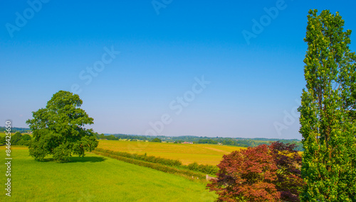 Fields and trees in a green hilly grassy landscape under a blue sky in sunlight in summer, Voeren, Limburg, Belgium, June, 2024