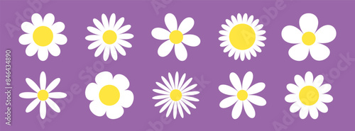 Daisy chamomile set. White Camomile flower icon. Growing concept. Cute round flowers head plant collection. Simple flat design. Nature childish style Love card symbol Isolated Violet background Vector