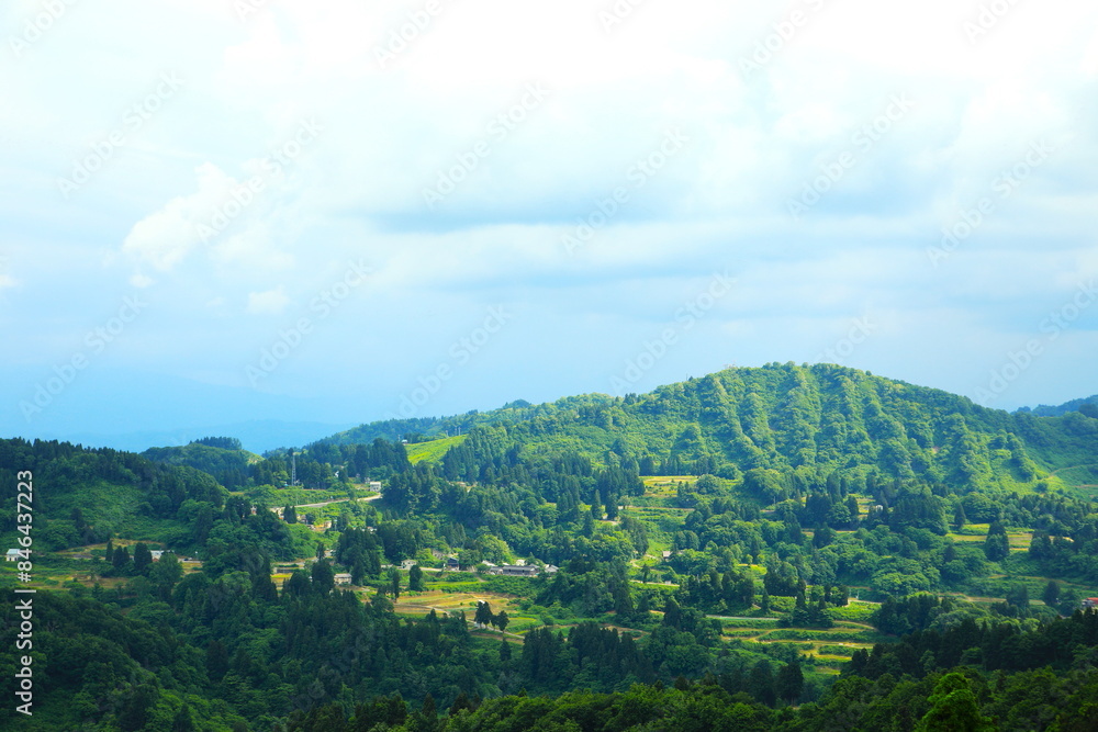 Obraz premium 緑の森が美しい農村