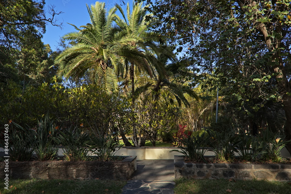 Public park in Arucas on Gran Canaria,Canary Islands,Spain,Europe
Public park in Arucas on Gran Canaria,Canary Islands,Spain,Europe