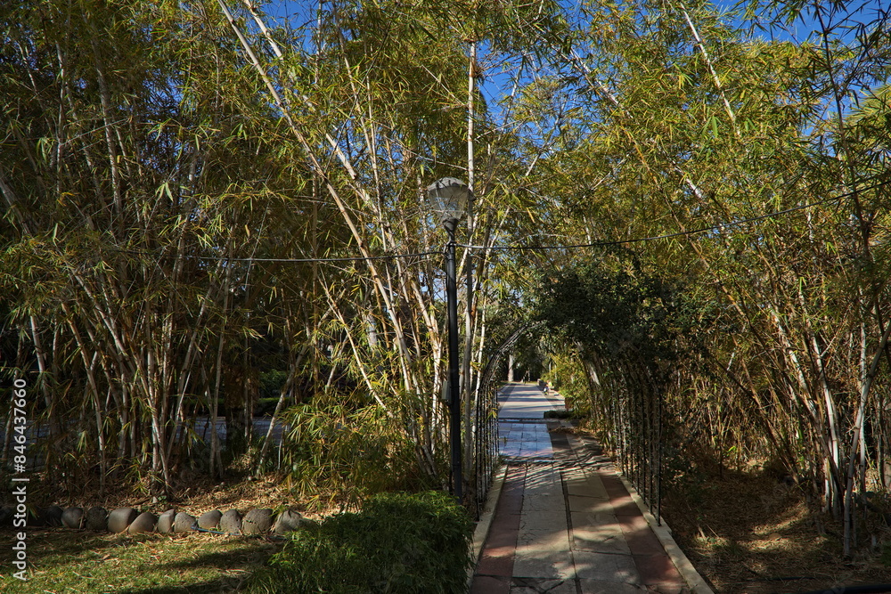 Obraz premium Public park in Arucas on Gran Canaria,Canary Islands,Spain,Europe 