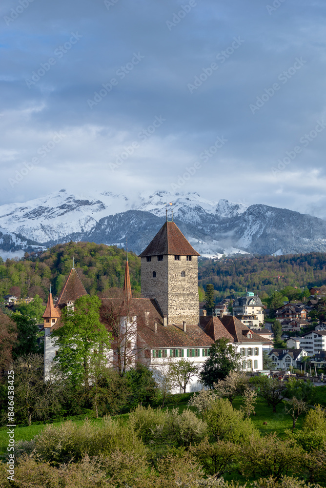 Fototapeta premium Scenic view of rural mountains with foreground trees and a tall building