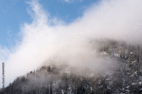 Forest cover mountain under a fog