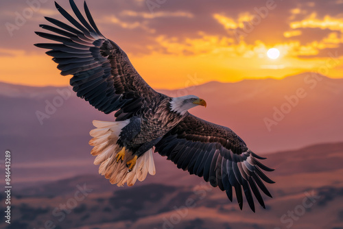 Bald Eagle Soaring at Sunset Over Scenic Landscape