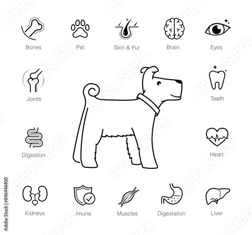 A set of icons for dog. The outline icons are well scalable and editable. Contrasting elements are good for different backgrounds. EPS10.	
