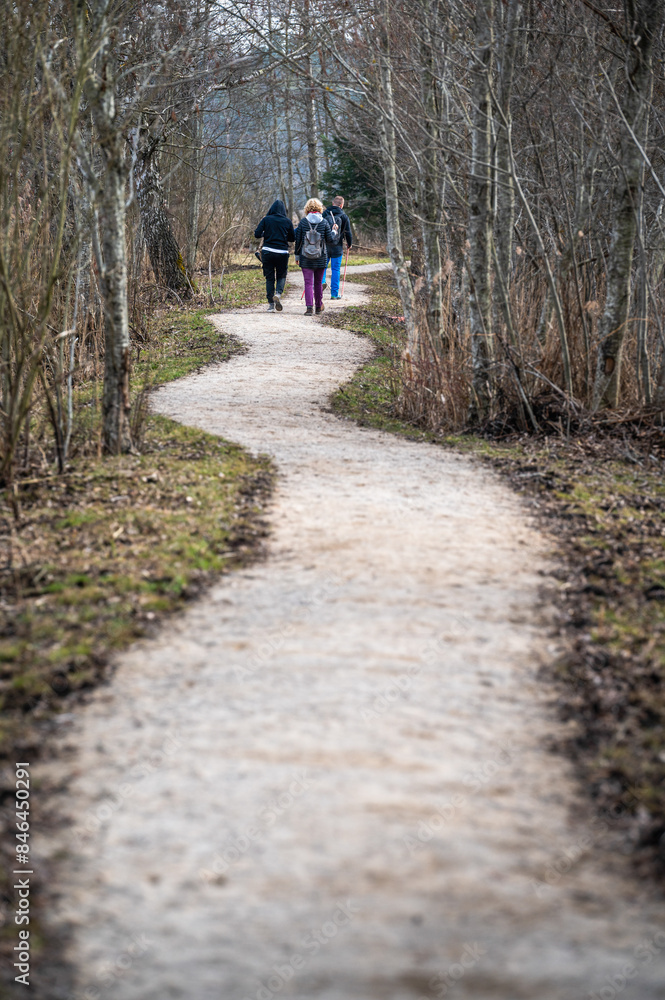 people walking on a path through a wooded area with trees people walking on a path through a wooded area with trees
