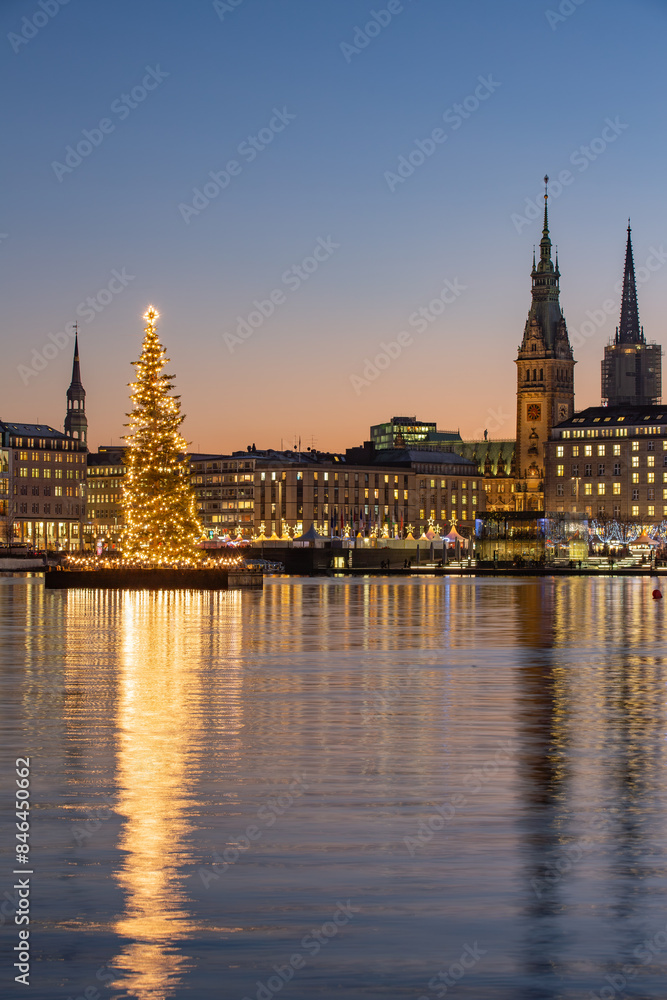 Fototapeta premium Christmas_Alster