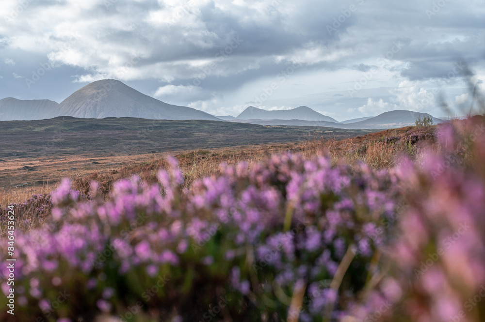 Naklejka premium Scottish Highlands landscape