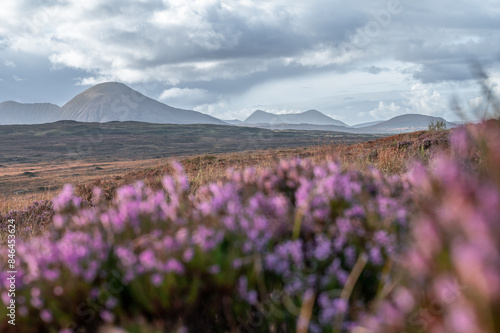 Scottish Highlands landscape © Wirestock
