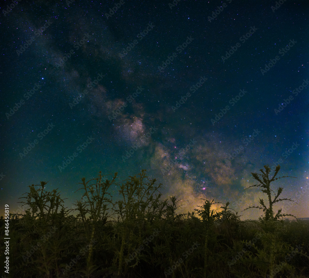 Scenic view of a starry night sky above trees Scenic view of a starry night sky above trees