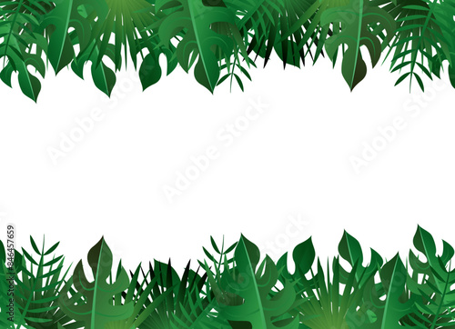 南国植物　観葉植物　背景