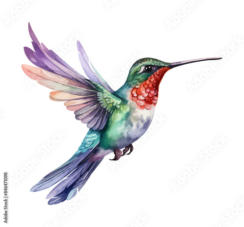 watercolor Hummingbird clipart for graphic resources