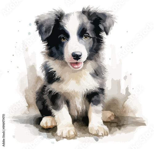 watercolor puppy border collie clipart for graphic resources