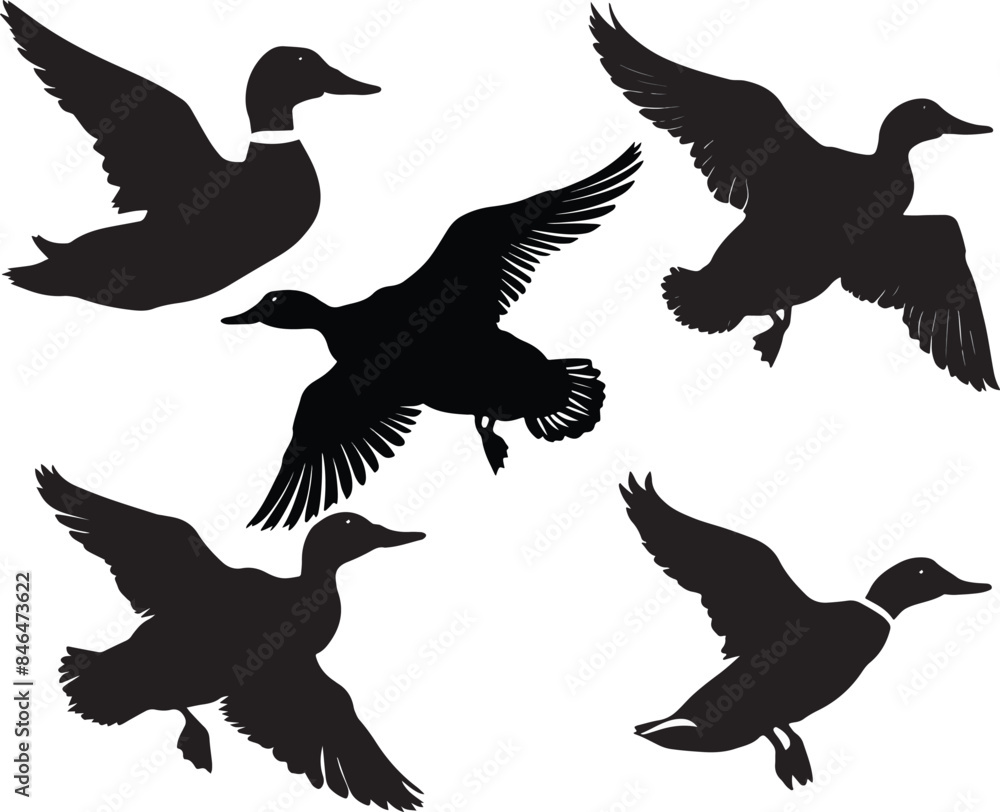 Flying duck silhouette Flying duck silhouette