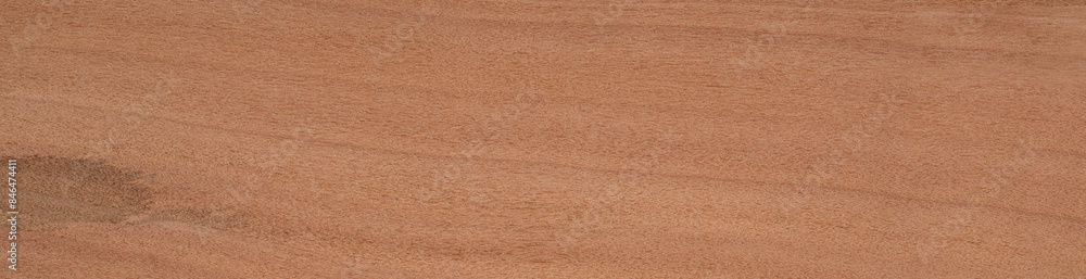 Fototapeta premium Apple slicing veneer with layered tones and organic flowing lines